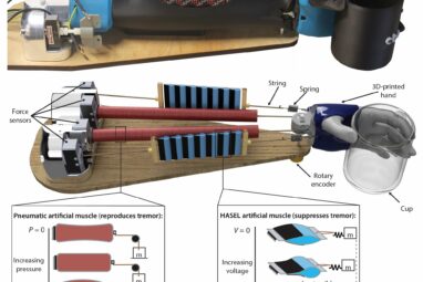 Innovative biorobotic arm uses artificial muscles to combat ...