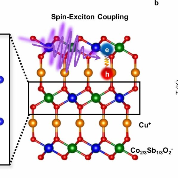 Light reveals unique quantum spin liquid state, promising error ...