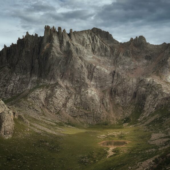 Mountains as biodiversity engines: How uplift may shape species ...