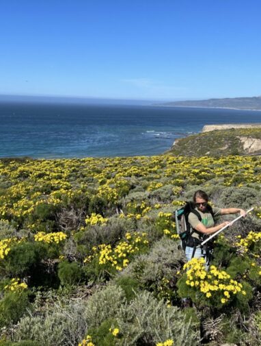 NASA scientists are clocking wildflower blooms to understand our ...