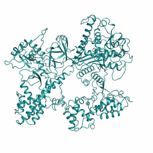 New CRISPRs expand research and biomedical applications upon ...