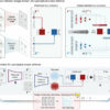 Novel high-fidelity computational microscopy uses stable features ...