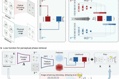 Novel high-fidelity computational microscopy uses stable features ...