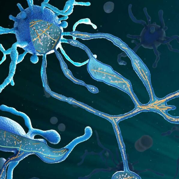 Origin of life: How a special group of single-celled organisms ...