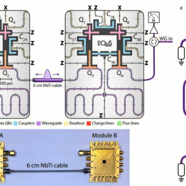 Photon-shuttling interconnection device enables direct ...