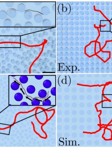 Polymerlike worms wriggle their way through mazes
