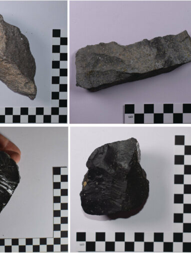 Researchers propose new hypothesis for the origin of stone tools