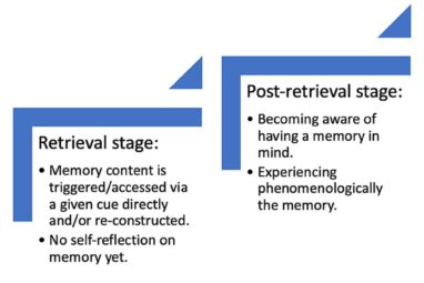 Frontiers | Recovered memories of trauma as a special (or not so ...
