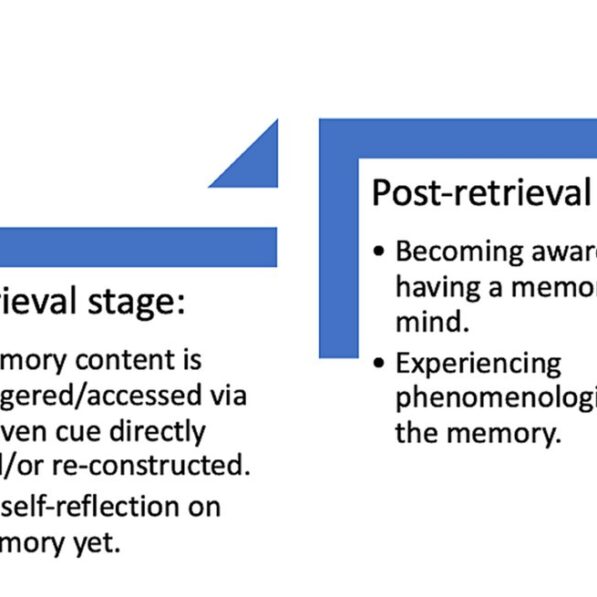 Frontiers | Recovered memories of trauma as a special (or not so ...