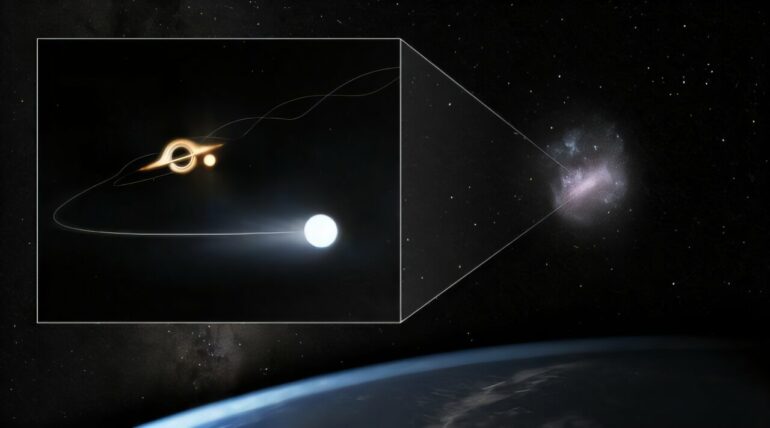 Runaway stars reveal hidden black hole in Milky Way's nearest neighbor
