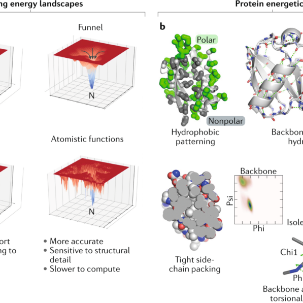 Advances in protein structure prediction and design | Nature ...