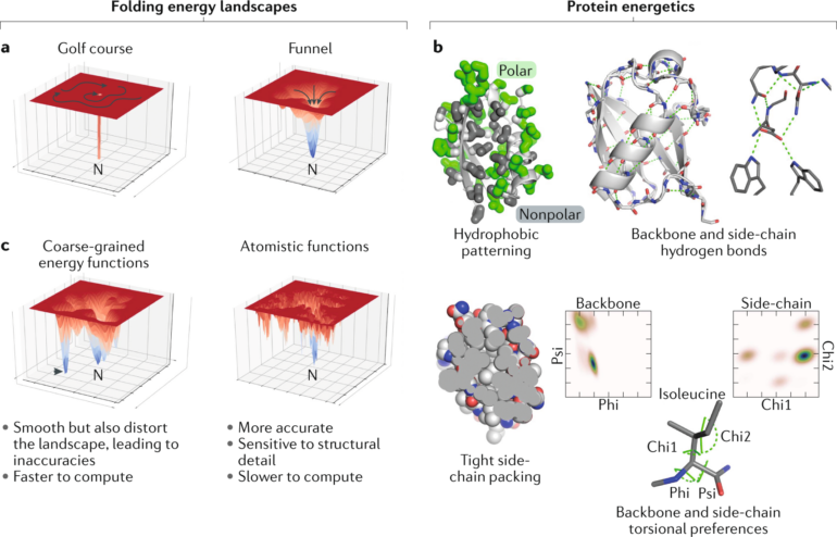 Advances in protein structure prediction and design | Nature ...
