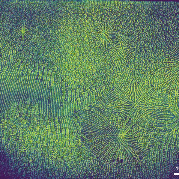 Spinning, twisted light could power next-generation electronics
