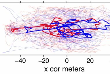 Study finds soccer teams move as though they are a single person ...