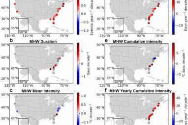 Study warns of deadly future marine heat waves in East Coast estuaries