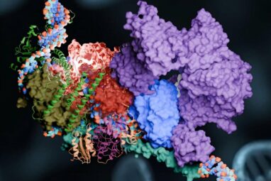 Supercomputer draws molecular blueprint for repairing damaged DNA