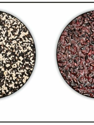 Tapuy rice wine fermentation yields possible anti-aging superfood