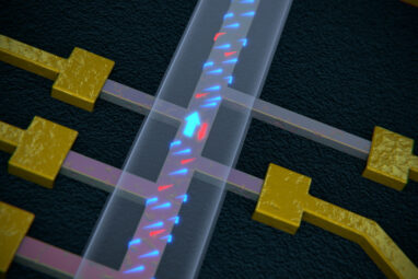 Quantum one-way street in topological insulator nanowires