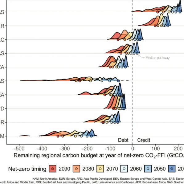 Tracking net-zero carbon debt: Who is responsible for overshoot of ...