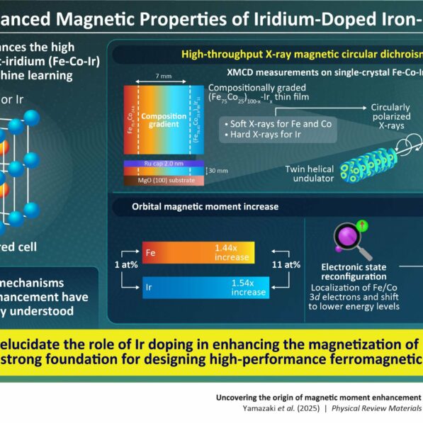 Understanding the origin of magnetic moment enhancement in novel ...