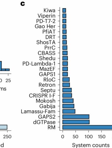 Unveiling bacteria's viral defense: Nine genes that could aid ...