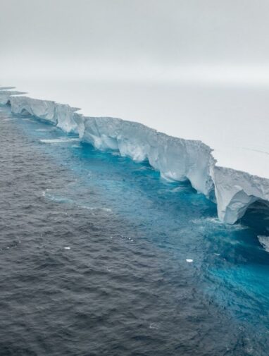 World's biggest iceberg runs aground, sparing wildlife haven island