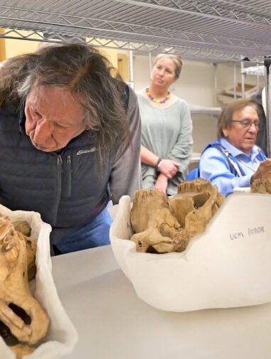 You don't just throw them in a box.' Archaeologists and Indigenous ...