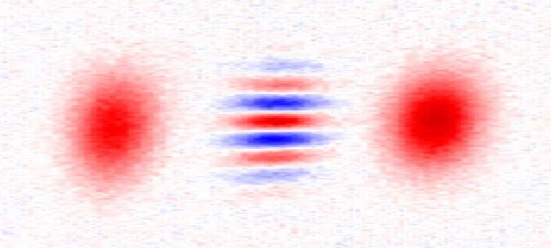 Hot Schrödinger cat states created