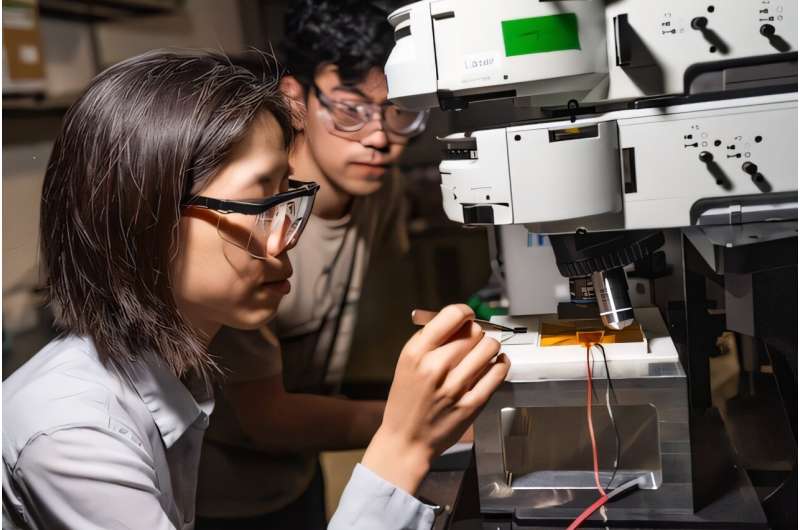 Light-based data made clearer with new machine learning method