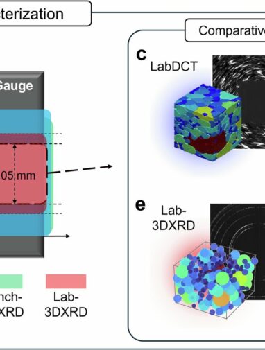 Synchrotron in a closet: Bringing powerful 3D X-ray microscopy to ...