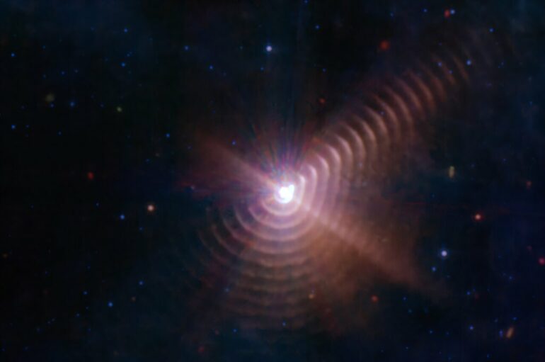 Combining polarized light methods reveals hidden molecular ...