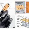 Electronic skin with unique fingerprint patterns offers enhanced ...