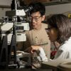 Light signature algorithm offers precise insight on viral proteins ...