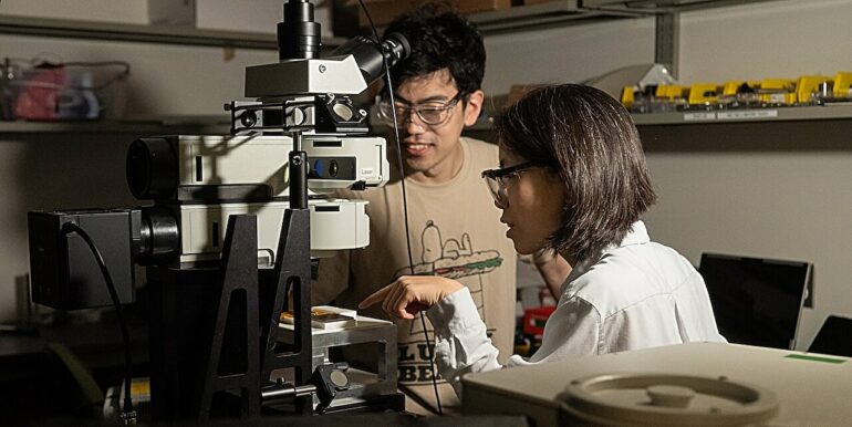 Light signature algorithm offers precise insight on viral proteins ...