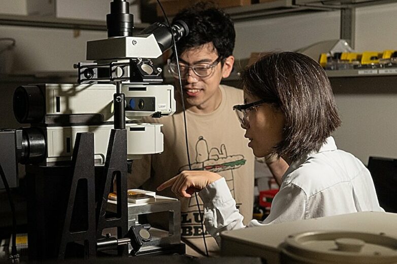 Light signature algorithm offers precise insight on viral proteins ...