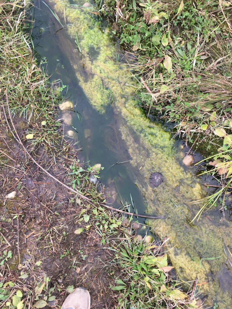 Microplastics: What's trapping the emerging threat in our streams?
