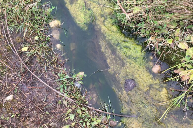 Microplastics: What's trapping the emerging threat in our streams?
