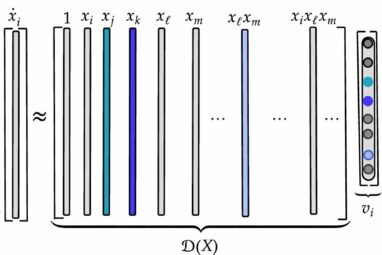 Mapping dynamical systems: New algorithm infers hypergraph ...