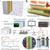 Operando monitoring of ion activities in aqueous batteries with ...