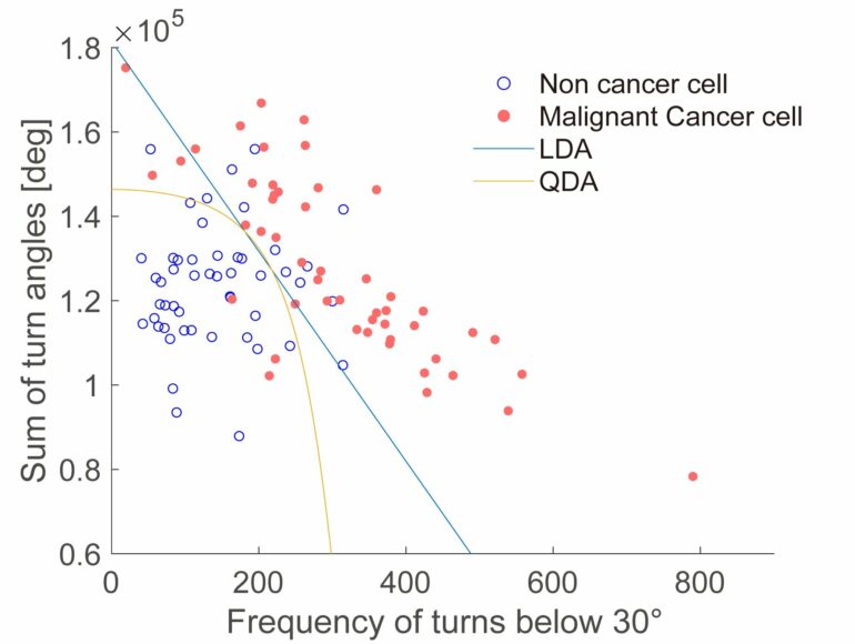 Scientists can tell healthy and cancerous cells apart by how they move