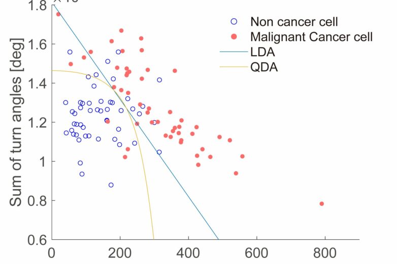 Scientists can tell healthy and cancerous cells apart by how they move