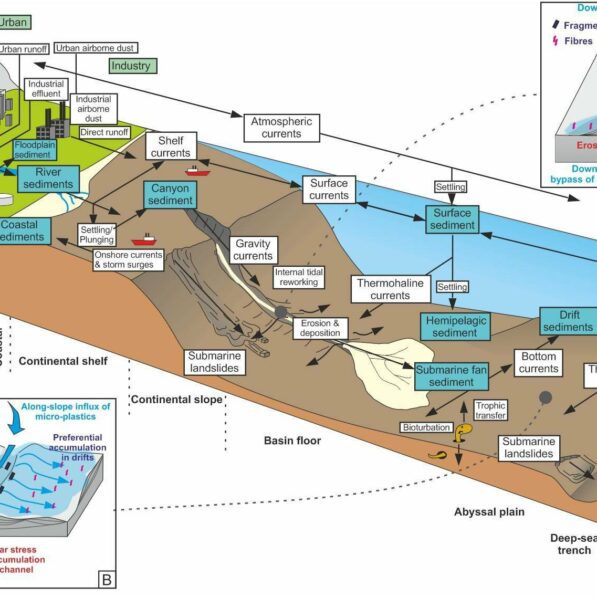 Microplastics accumulate in hotspots for deep-sea life