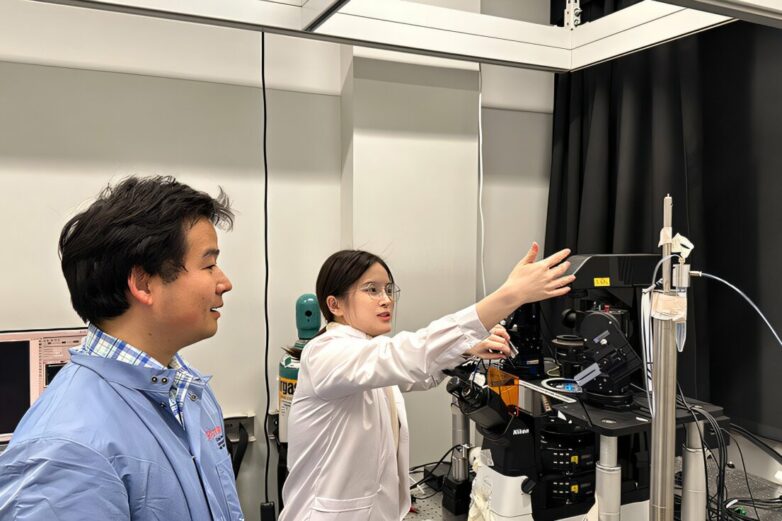 Scientists reveal how a protein linked to Parkinson's disease ...