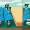 Should farm fields be used for crops or solar? Research suggests both