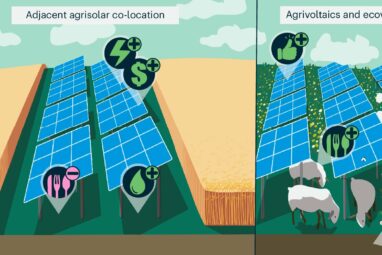 Should farm fields be used for crops or solar? Research suggests both