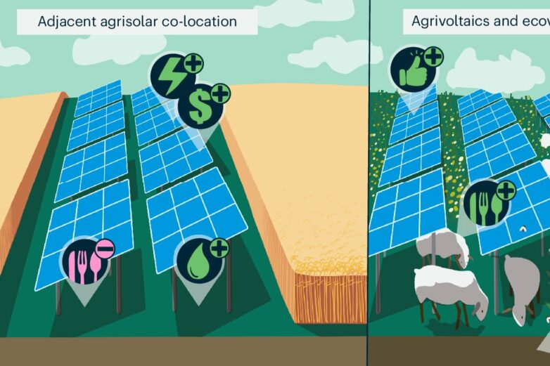 Should farm fields be used for crops or solar? Research suggests both