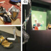 Using puppets to communicate innovative enzyme science