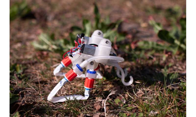 This soft robot "thinks" with its legs