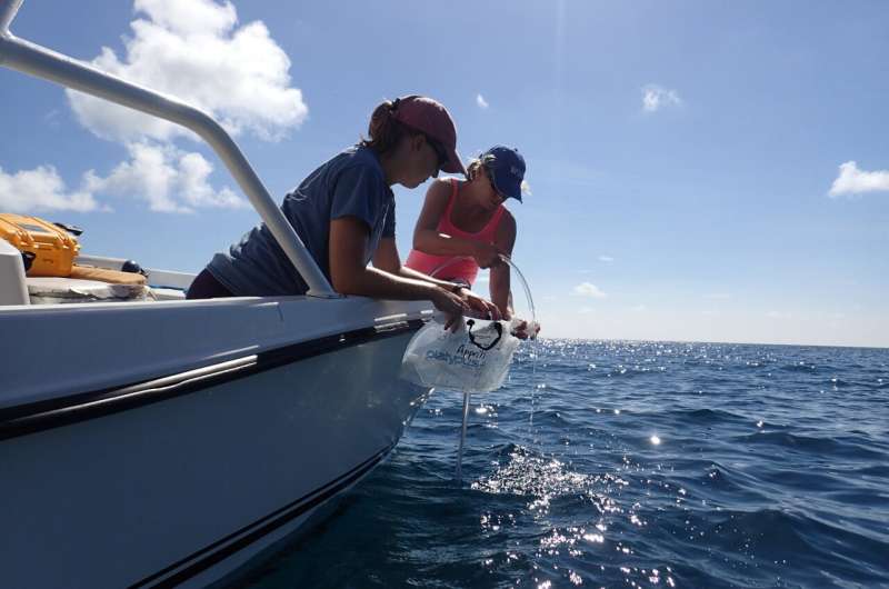 Seawater microbes are a powerful tool for diagnosing coral reef health and strengthening conservation efforts, according to new paper