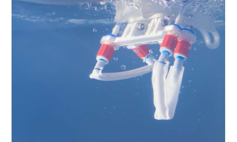 This soft robot "thinks" with its legs